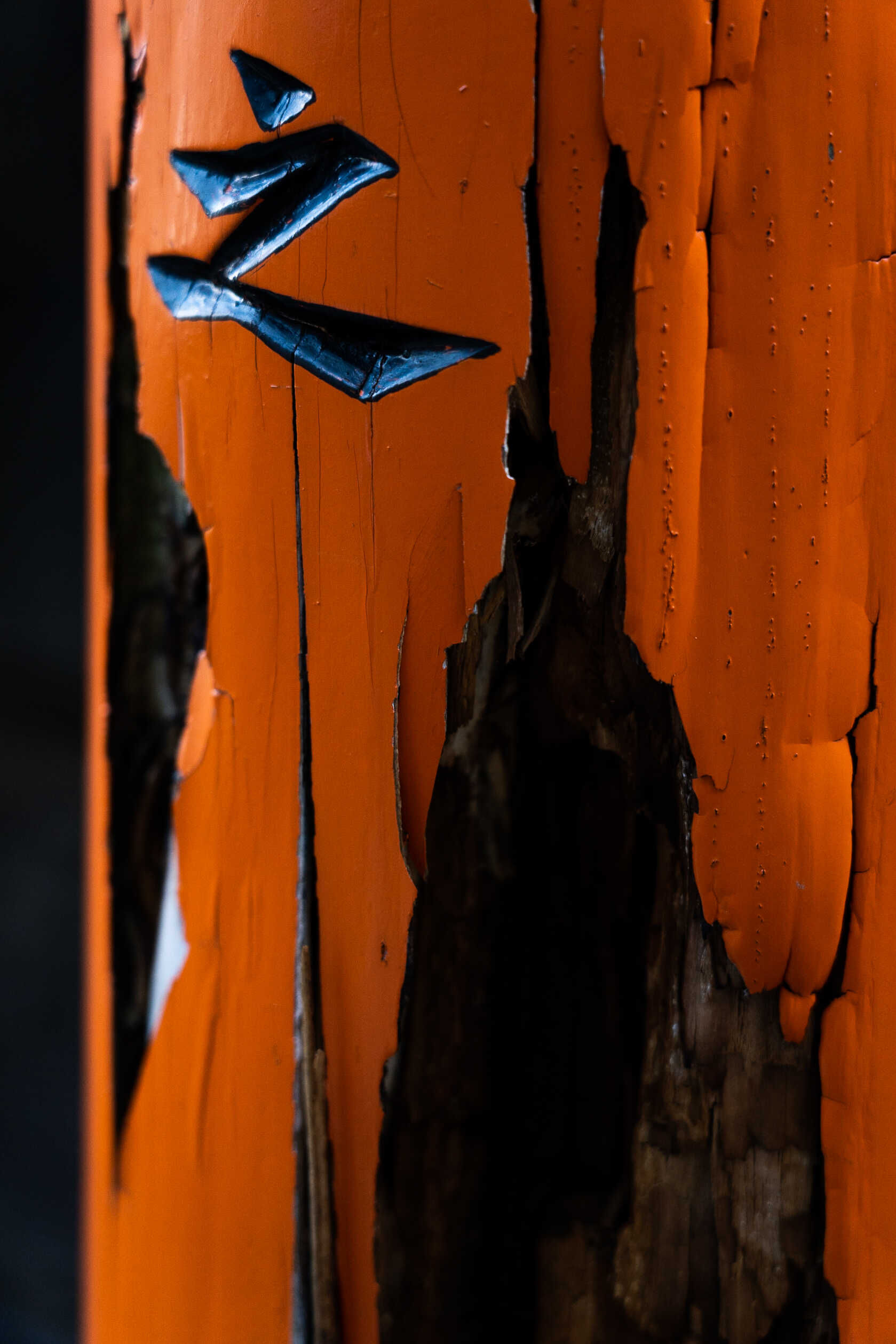 Broken-Fushimi-Inari-Shrine